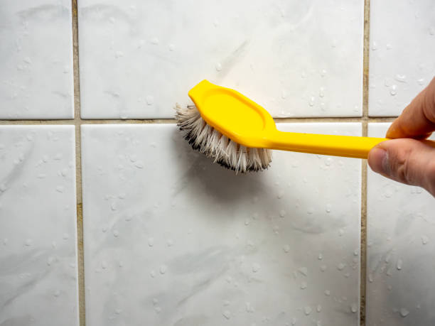 Office Mold Removal Services in King, NC