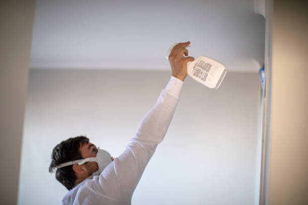 Certified Mold Removal in King, NC